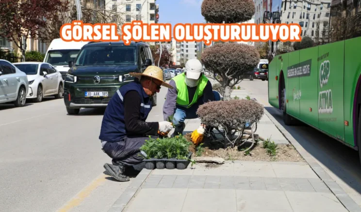 Van Büyükşehir kenti mevsimlik çiçeklerle renklendiriyor
