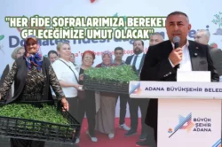 Adana Büyükşehir’den çiftçilere domates fidesi desteği