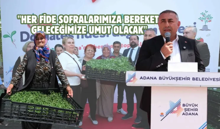 Adana Büyükşehir’den çiftçilere domates fidesi desteği