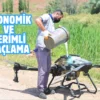 Aksaray’da haşereyle mücadele çalışmaları sürüyor