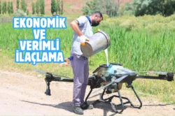 Aksaray’da haşereyle mücadele çalışmaları sürüyor