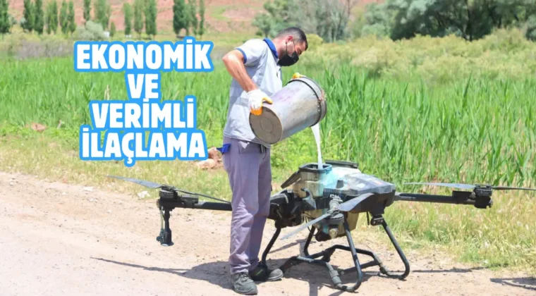 Aksaray’da haşereyle mücadele çalışmaları sürüyor