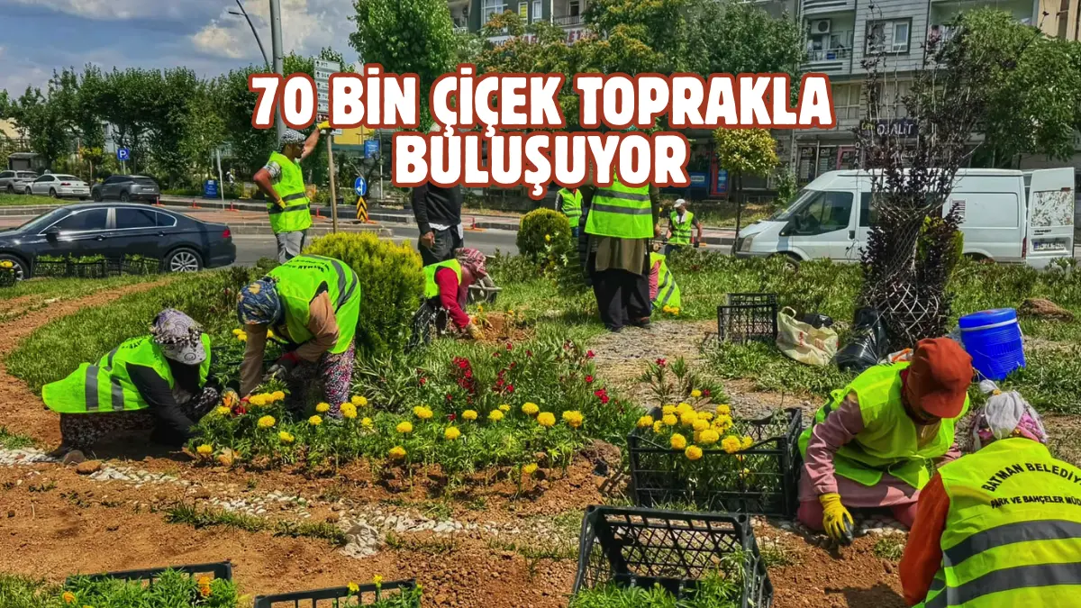 Batman Belediyesi, kent estetiğini güçlendirmek ve şehre daha modern bir