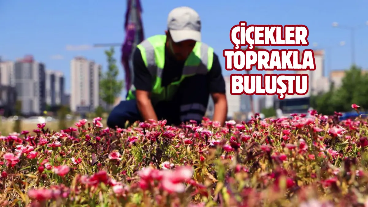 Diyarbakır Büyükşehir Belediyesi, su tasarrufu sağlayan ve düşük maliyetli peyzaj