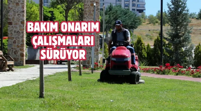 Elazığ’da yaşam alanları yenileniyor