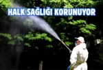 Elazığ Belediyesi’nden vektörel mücadele