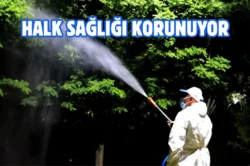 Elazığ Belediyesi’nden vektörel mücadele