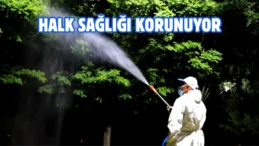 Elazığ Belediyesi’nden vektörel mücadele