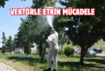 Etimesgut Belediyesi’nden ilaçlama seferberliği