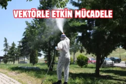 Etimesgut Belediyesi’nden ilaçlama seferberliği