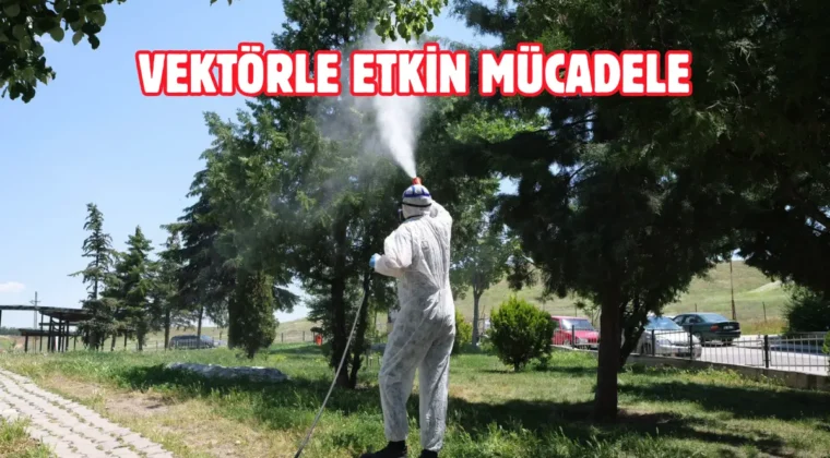 Etimesgut Belediyesi’nden ilaçlama seferberliği