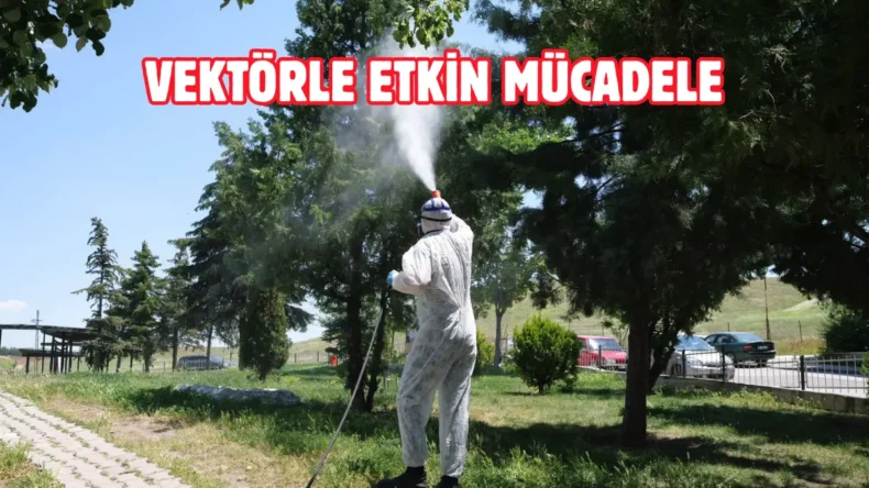 Etimesgut Belediyesi’nden ilaçlama seferberliği