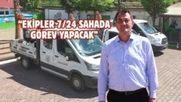 Giresun’da haşereyle mücadele çalışmaları sürüyor