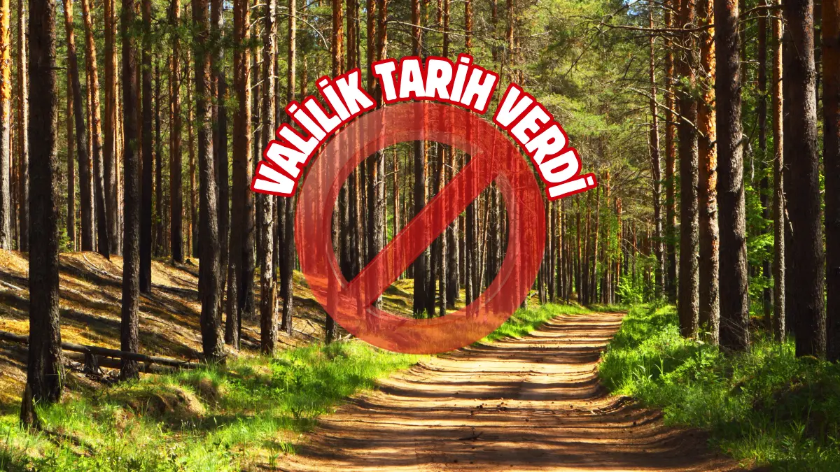 İstanbul Valiliği, orman yangınlarının önlenmesi amacıyla 8 Haziran- 15 Ekim