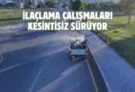 Kahramanmaraş’ta vektörel mücadele sürüyor