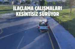 Kahramanmaraş’ta vektörel mücadele sürüyor