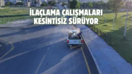 Kahramanmaraş’ta vektörel mücadele sürüyor