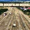 Kocaeli’de süt otu hasadı başladı