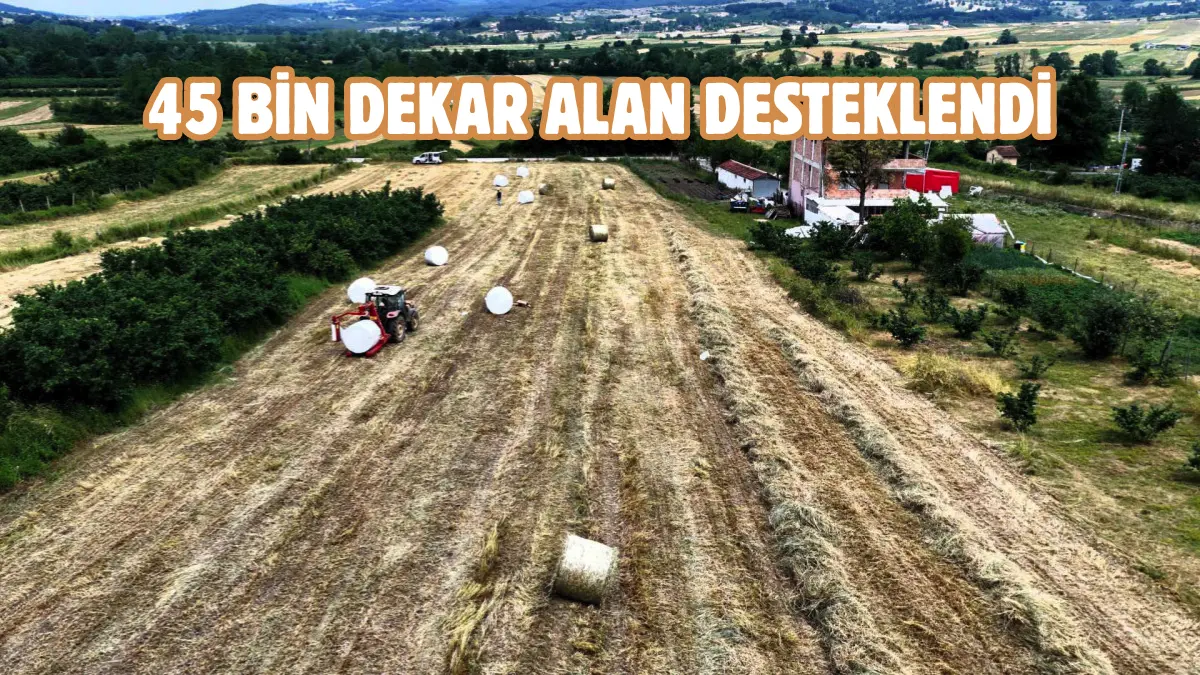 Kocaeli Büyükşehir Belediyesi, bölge hayvancılığın gelişmesi ve sürdürülebilir tarımın güçlenmesine