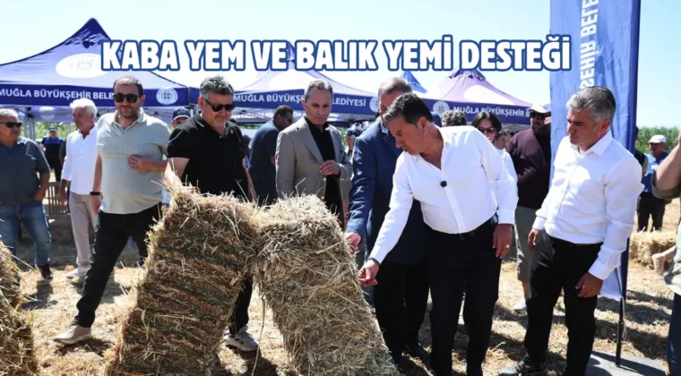 Muğla Milas’ta tarımsal üretim destekleniyor