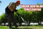 Samsun’da vektörle mücadele ediliyor