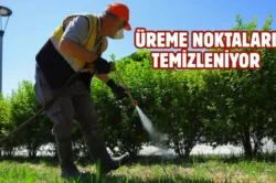 Samsun’da vektörle mücadele ediliyor