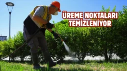 Samsun’da vektörle mücadele ediliyor