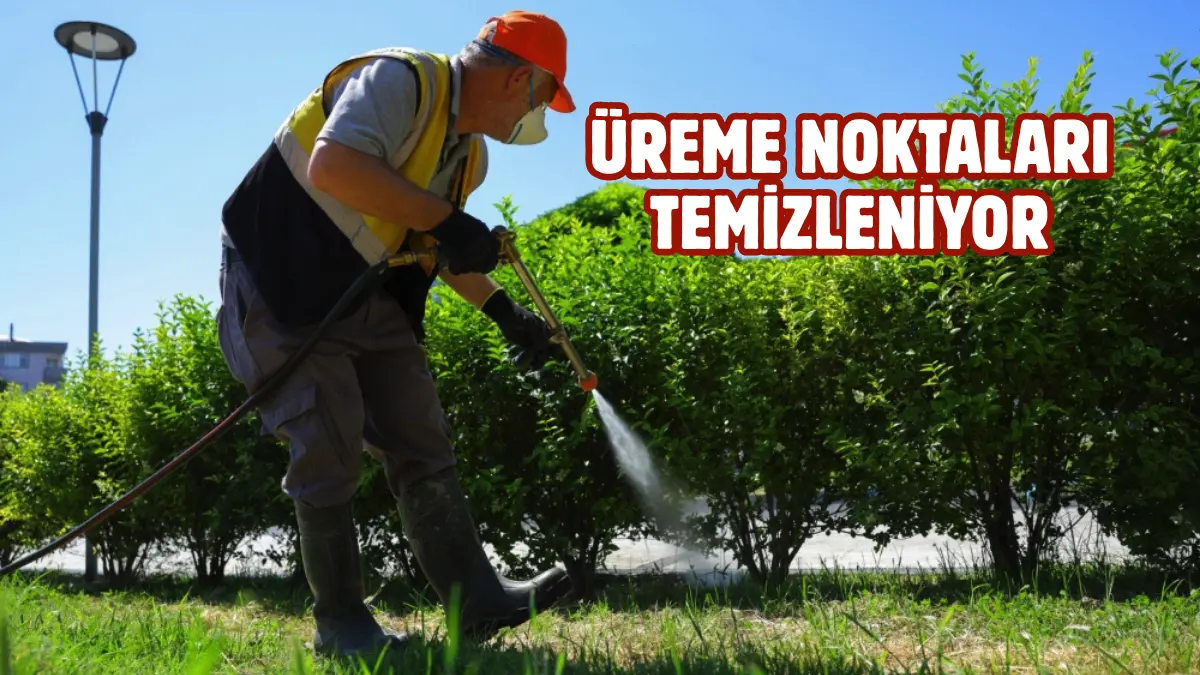 Samsun Büyükşehir Belediyesi, yaz aylarında artan hava sıcaklıklarıyla birlikte çoğalan