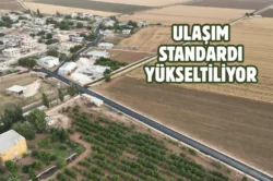 Şanlıurfa Eyyübiye’de sıcak asfalt çalışmaları sürüyor