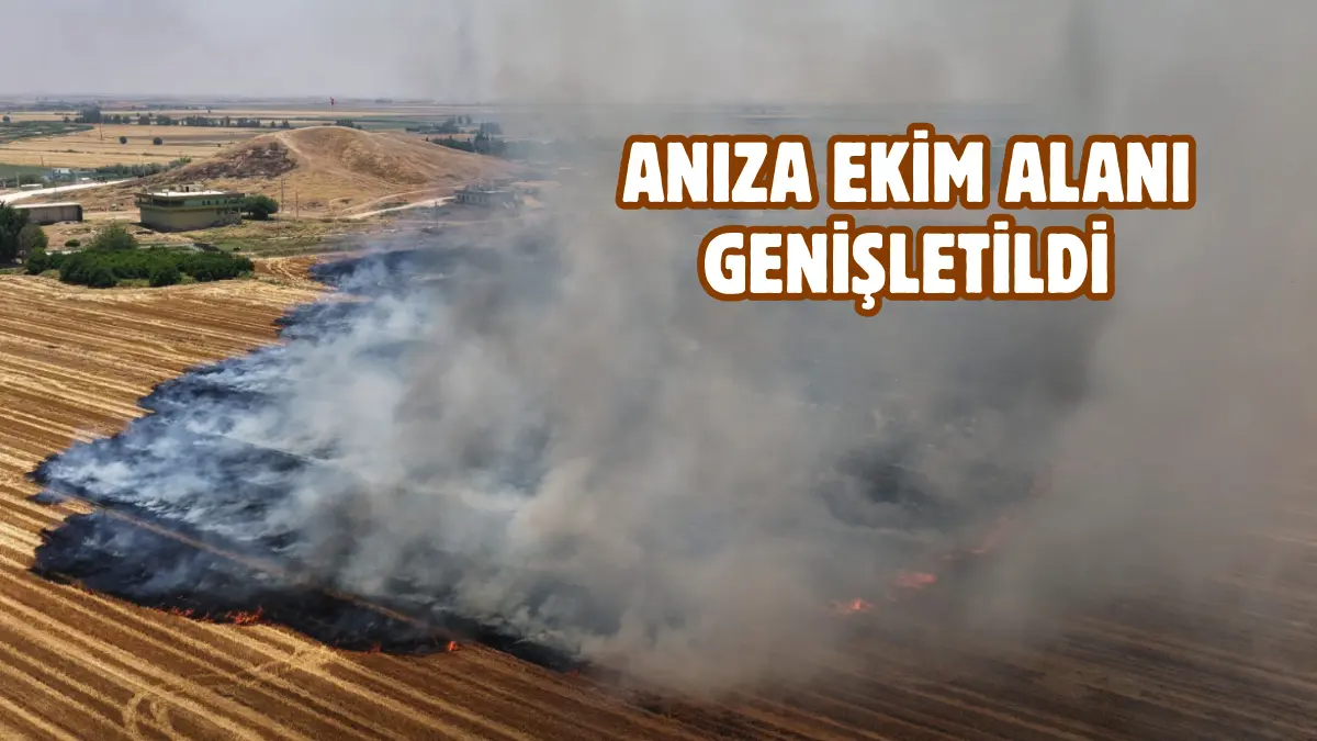Şanlıurfa Büyükşehir Belediyesi ile GAP Tarımsal Araştırma Enstitüsü iş birliğinde