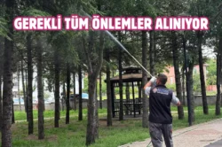 Sincan’da parklar düzenli olarak ilaçlanıyor