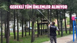 Sincan’da parklar düzenli olarak ilaçlanıyor