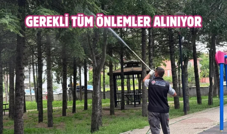 Sincan’da parklar düzenli olarak ilaçlanıyor