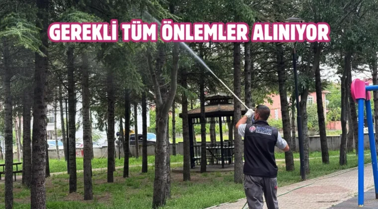 Sincan’da parklar düzenli olarak ilaçlanıyor