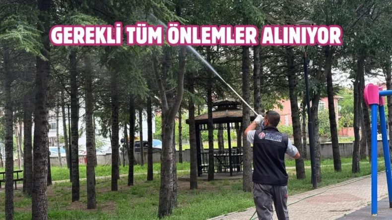 Sincan’da parklar düzenli olarak ilaçlanıyor