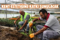 Tokat Belediyesi’nden şehri güzelleştiren dokunuş