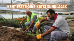 Tokat Belediyesi’nden şehri güzelleştiren dokunuş
