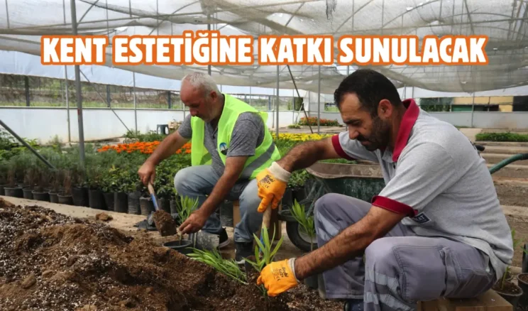 Tokat Belediyesi’nden şehri güzelleştiren dokunuş