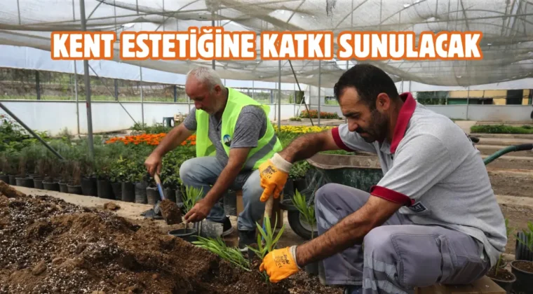 Tokat Belediyesi’nden şehri güzelleştiren dokunuş