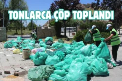 Van Atatürk Kültür Parkı’nda 3 ton çöp toplandı