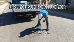 Adıyaman’da ilaçlama çalışmaları devam ediyor