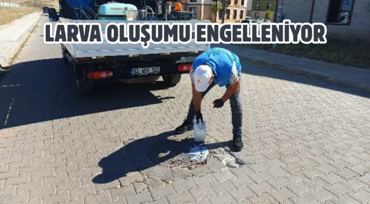 Adıyaman’da ilaçlama çalışmaları devam ediyor