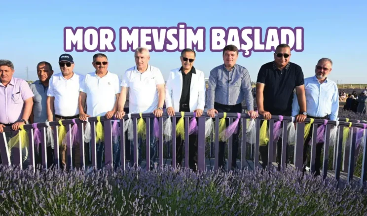 Aksaray’da Lavanta Bahçesi ziyarete açıldı
