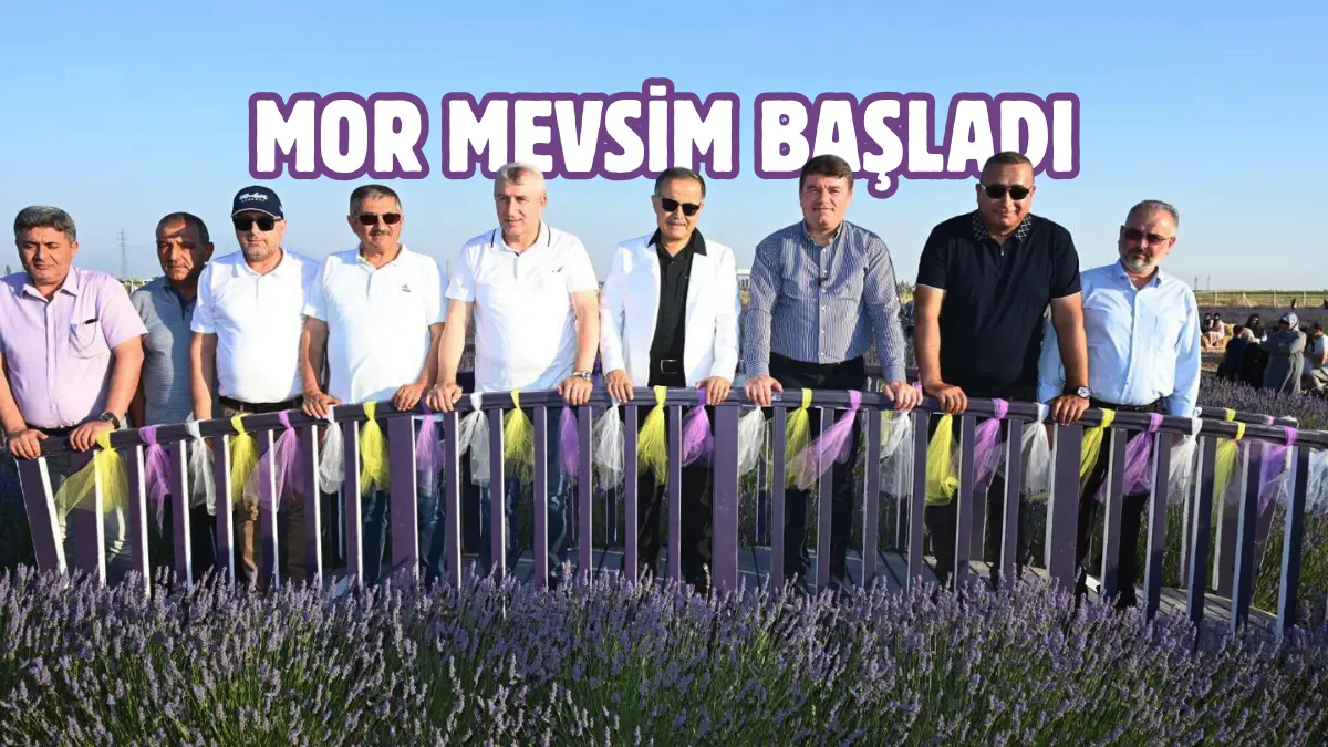 Aksaray Belediyesi tarafından hayata geçirilen Lavanta Bahçesi, mor renge bürünen