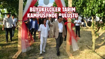 Büyükelçiler Ankara’da ilk dut hasadını gerçekleştirdi