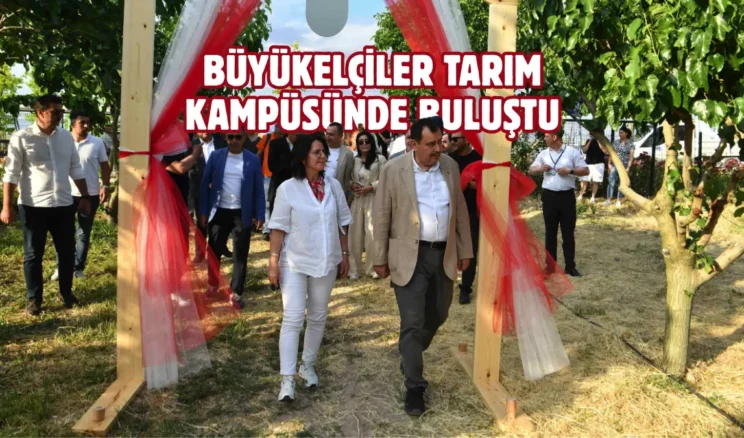 Büyükelçiler Ankara’da ilk dut hasadını gerçekleştirdi