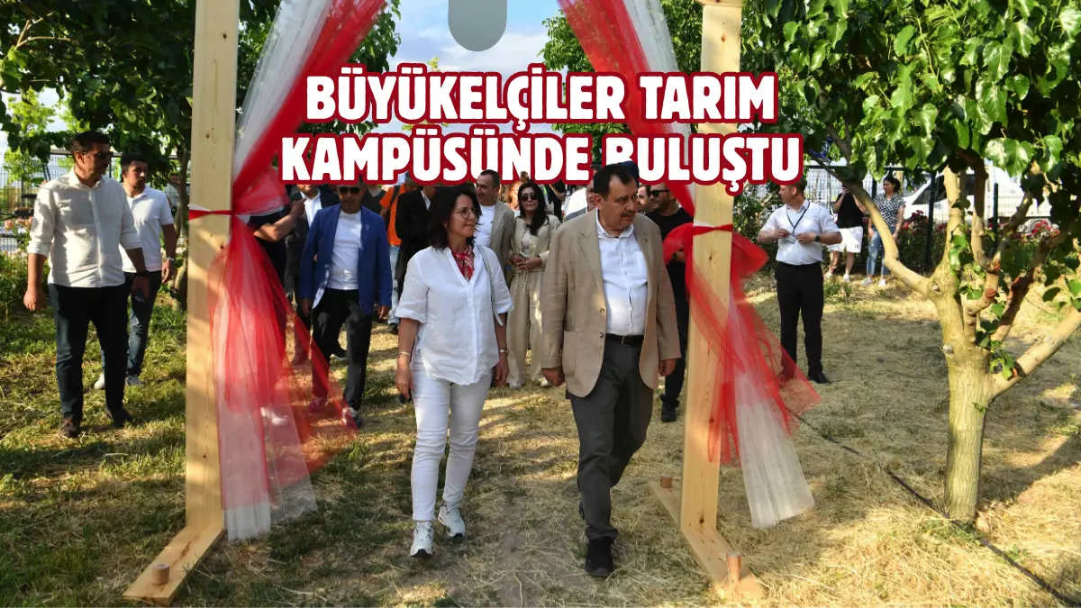 Ankara’da görev yapan büyükelçiler ve temsilcileri, 22 farklı türden 18