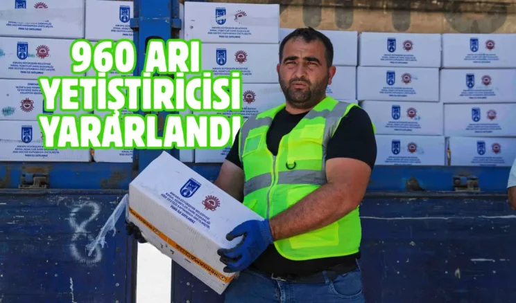Ankara’da üreticiye fondan arı yemi desteği sürüyor