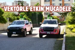 Ankara’da ilaçlama çalışmaları devam ediyor