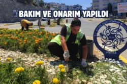Aydın Kuşadası’nda çevre düzenleme çalışması yapılıyor